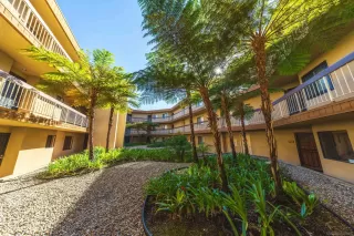 Photo #1: 260003264 Listing 