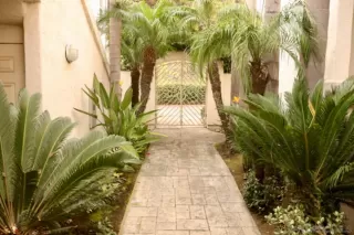 Photo #1: 260003312 Listing 