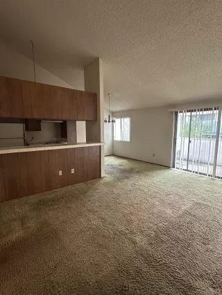 Photo #5: 260003409 Listing 