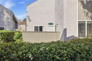 Photo #1: 260003480 Listing