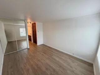 Photo #5: 260003570 Listing 