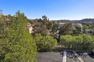 Photo #6: 260003618 Listing 