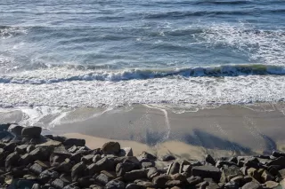 Photo #3: 260003647 Listing