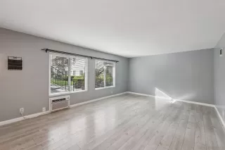 Photo #1: 260003659 Listing