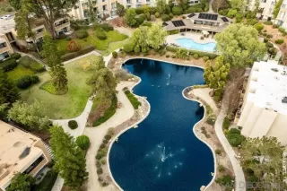 Photo #6: 260003667 Listing 