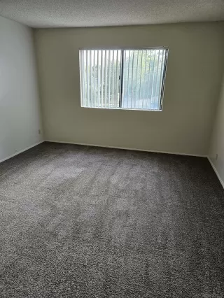 Photo #5: 260003734 Listing