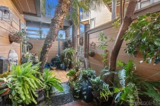 Photo #5: 260003855 Listing 