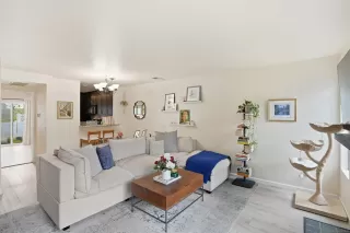 Photo #1: 260003951 Listing 