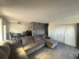 Photo #5: 260003985 Listing 