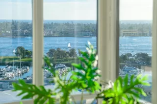 Photo #5: 260004040 Listing