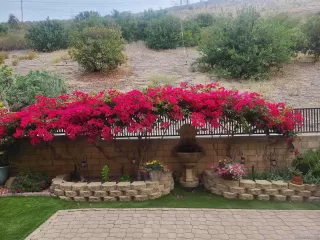 Photo #4: 260004133 Listing 