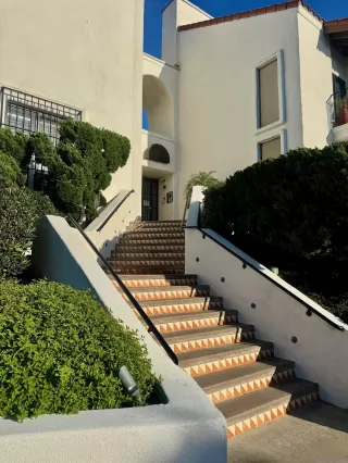 Photo #1: 260004201 Listing