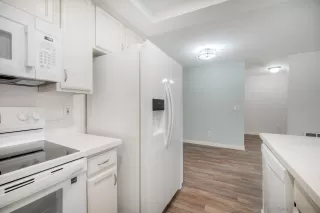 Photo #4: 260004205 Listing 