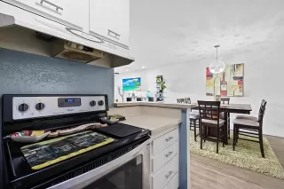 Photo #6: 260004215 Listing 