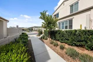 Photo #3: 260004224 Listing 