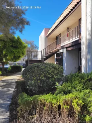 Photo #2: 260004227 Listing 