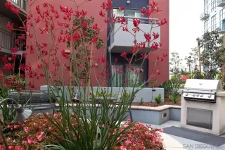 Photo #1: 260004240 Listing 