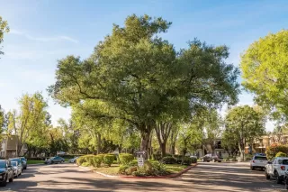 More Details about MLS # 260004243 : 4800 WILLIAMSBURG LN UNIT 228