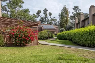 Photo #5: 260004303 Listing 