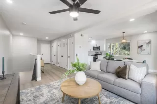 Photo #1: 260004415 Listing 