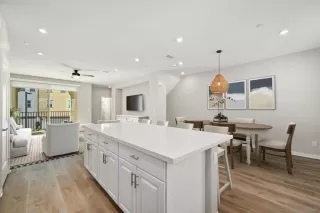 Photo #1: 260004416 Listing