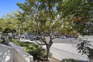 Photo #3: 260004482 Listing 