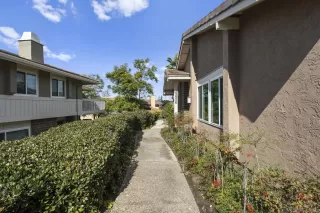 Photo #1: 260004612 Listing 