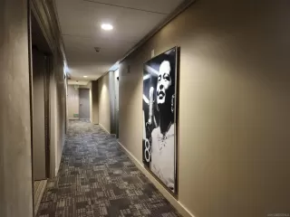 Photo #1: 260004972 Listing