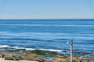 Photo #6: 260005109 Listing 