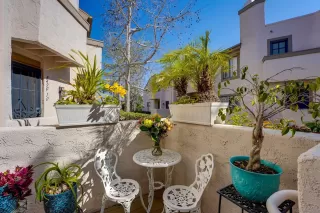 Photo #1: 260005204 Listing 