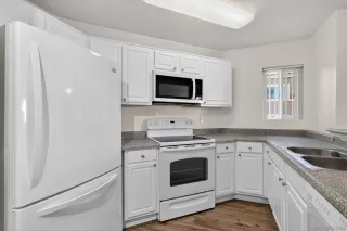 Photo #1: 260005309 Listing 