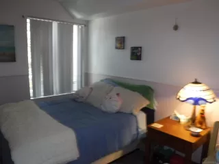 Photo #6: 260005395 Listing 