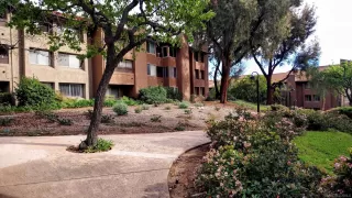 Photo #1: 260005421 Listing 