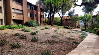 Photo #2: 260005421 Listing 