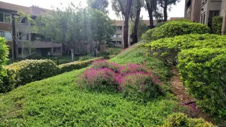 Photo #3: 260005421 Listing 