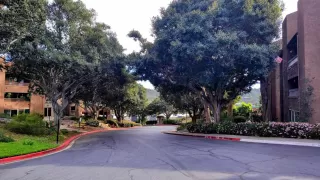 Photo #4: 260005421 Listing 