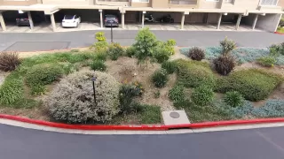 Photo #5: 260005421 Listing 