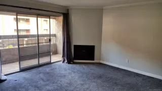 Photo #6: 260005421 Listing 