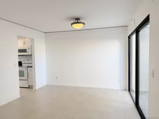 Photo #5: 260005512 Listing 