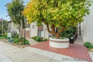 Photo #1: 260005527 Listing 