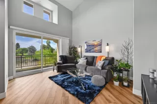 Photo #1: 260005541 Listing 