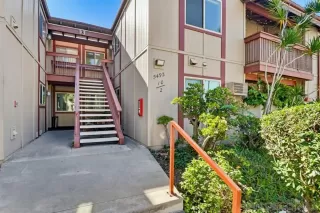 Photo #1: 260005571 Listing 