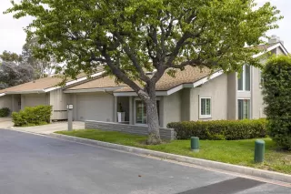 Photo #1: 260005666 Listing 