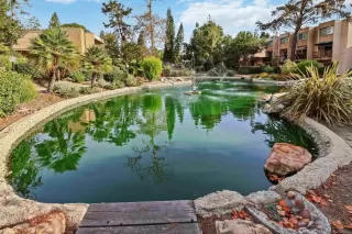 Photo #1: 260005756 Listing 