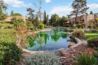 Photo #2: 260005756 Listing 