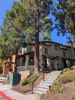 Photo #1: 260005839 Listing 