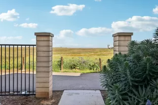 Photo #5: 260005848 Listing 