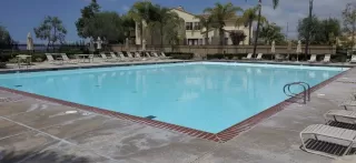 Photo #3: 260005870 Listing 