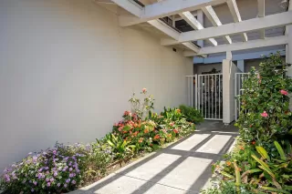 Photo #2: 260005877 Listing