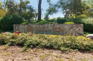 Photo #1: 260005974 Listing